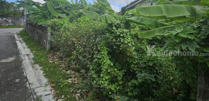 ขายที่ดินแปลงขนาดเล็กใกล้เซ็นทรัลระยอง อำเภอเมือง ระยอง ขายที่ดินแปลงขนาดเล็กใกล้เซ็นทรัลระยอง อำเภอเมือง ระยอง