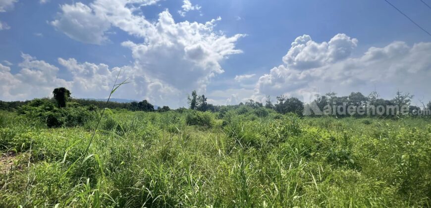 ขายที่ดินเปล่าสำหรับคนชอบความสงบ รักธรรมชาติ บ้านแลง อำเภอเมือง ระยอง ขายที่ดินเปล่าสำหรับคนชอบความสงบ รักธรรมชาติ บ้านแลง อำเภอเมือง ระยอง