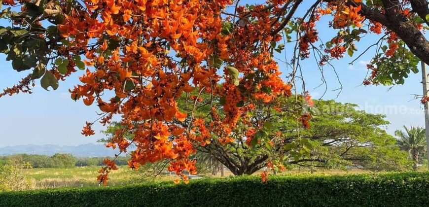 ขายบ้านเขาใหญ่ Private Pool Villa เขาใหญ่ พร้อมกิจการ ที่ดิน 310 ตร.ว ที่ติดน้ำ ร่มรื่น สวยมาก ทำเลดีโครงการติดถนนธนะรัชต์ ใกล้ มิดวินเทอร์ ขายถูกมาก เหมาะซื้อลงทุน ดำเนินกิจการต่อได้เลย 087-9074045