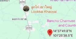 ขายที่ดิน ขนงพระ ปากช่อง ถนนโยธาธิการ นครราชสีมา 2049 พื้นที่ 499 ตรว. แปลงสวย เหมาะทำรีสอร์ท,โฮมสเตย์ ใกล้แม็คโคร ปากช่อง-เขาใหญ่