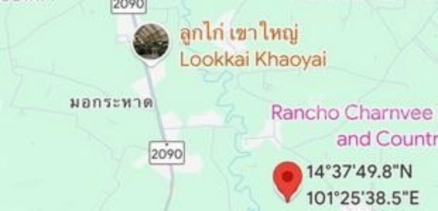 ขายที่ดิน ขนงพระ ปากช่อง ถนนโยธาธิการ นครราชสีมา 2049 พื้นที่ 499 ตรว. แปลงสวย เหมาะทำรีสอร์ท,โฮมสเตย์ ใกล้แม็คโคร ปากช่อง-เขาใหญ่