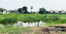 ที่ดิน ถนนชัยพฤกษ์ 3 ไร่ ใกล้ หมู่บ้าน มัณฑนา-ชัยพฤกษ์ ปากเกร็ด