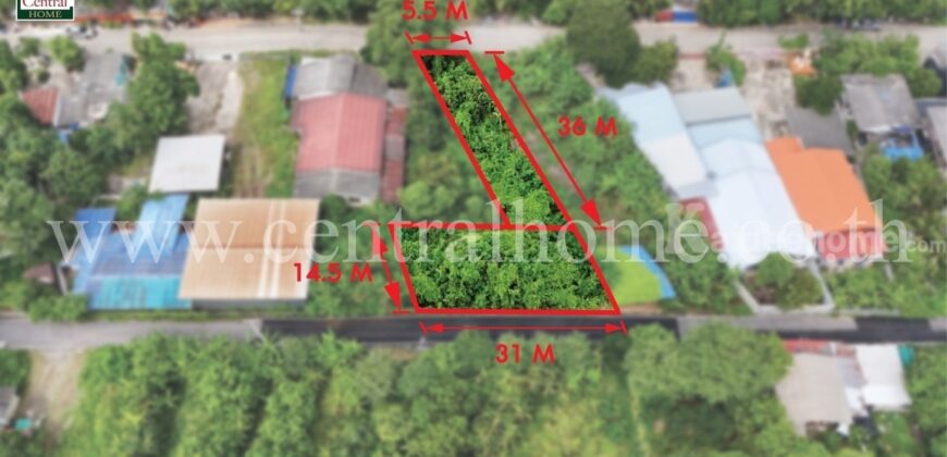ที่ดินเปล่า 2 แปลง 145 ตร.ว. คลองสาม คลองหลวง ปทุมธานี
