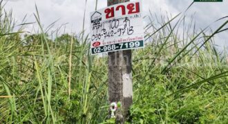 ที่ดินเปล่า 100 ตารางวา คลอง 5 คลองหลวง – ปทุมธานี ราคาถูก