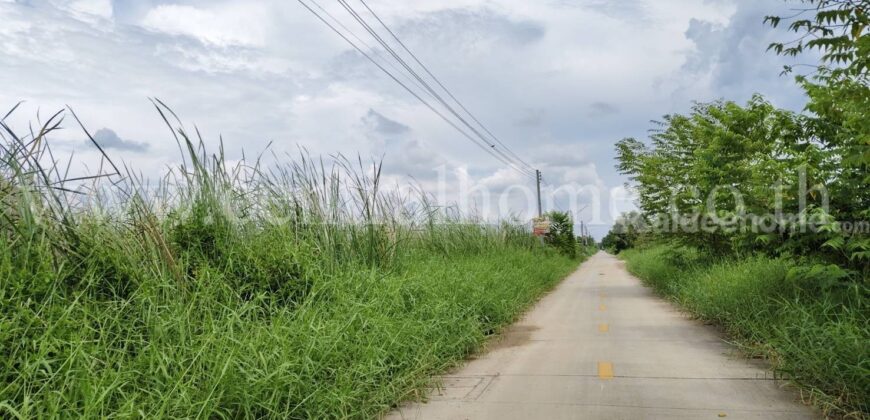 ที่ดินเปล่า 100 ตารางวา คลอง 5 คลองหลวง – ปทุมธานี ราคาถูก