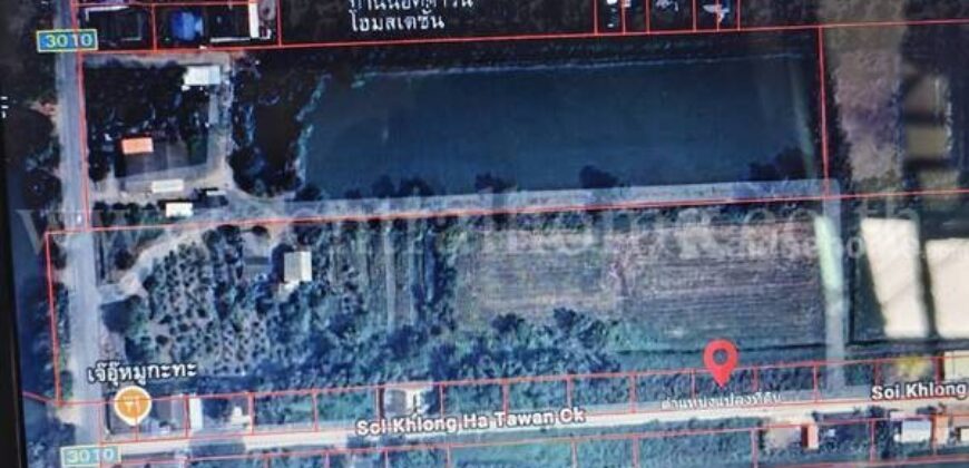 ที่ดินเปล่า 100 ตารางวา คลอง 5 คลองหลวง – ปทุมธานี ราคาถูก