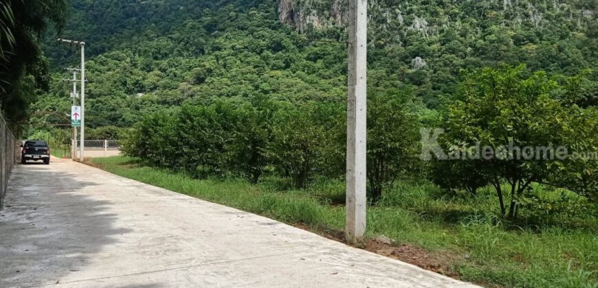 ขายที่ดินเขาใหญ่ 2 ไร่ ที่ดินวิวเขาสวยมาก อยู่เส้นกุดคล้าผ่านศึก พญาเย็น ปากช่อง ถนนหนทางดีมาก ไม่ลึก ไม่เปลี่ยว เพื่อนบ้านรายรอบ ใกล้เซเว่้น ที่ดินพร้อมสวนผลไม้ ที่สวยมากต่อยอดได้หลายอย่าง 087-9074045