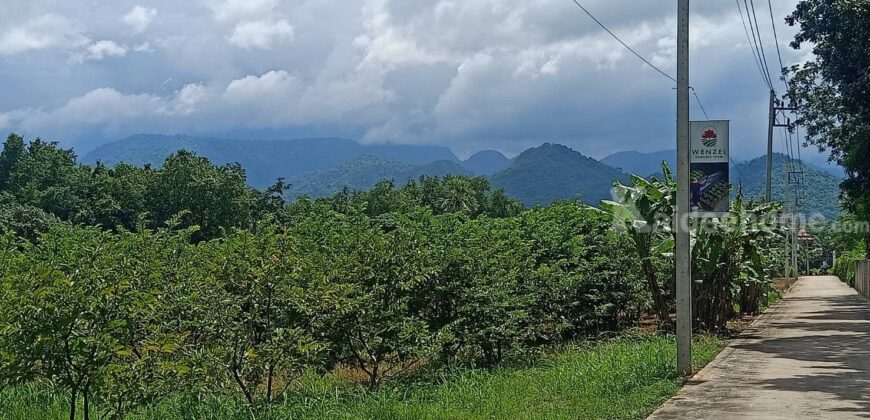 ขายที่ดินเขาใหญ่ 2 ไร่ ที่ดินวิวเขาสวยมาก อยู่เส้นกุดคล้าผ่านศึก พญาเย็น ปากช่อง ถนนหนทางดีมาก ไม่ลึก ไม่เปลี่ยว เพื่อนบ้านรายรอบ ใกล้เซเว่้น ที่ดินพร้อมสวนผลไม้ ที่สวยมากต่อยอดได้หลายอย่าง 087-9074045
