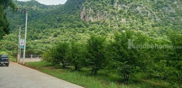 ขายที่ดินเขาใหญ่ 2 ไร่ ที่ดินวิวเขาสวยมาก อยู่เส้นกุดคล้าผ่านศึก พญาเย็น ปากช่อง ถนนหนทางดีมาก ไม่ลึก ไม่เปลี่ยว เพื่อนบ้านรายรอบ ใกล้เซเว่้น ที่ดินพร้อมสวนผลไม้ ที่สวยมากต่อยอดได้หลายอย่าง 087-9074045