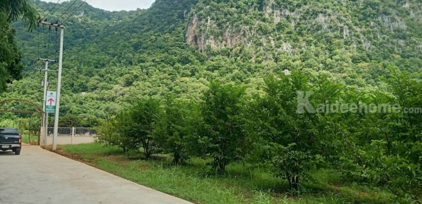 ขายที่ดินเขาใหญ่ 2 ไร่ ที่ดินวิวเขาสวยมาก อยู่เส้นกุดคล้าผ่านศึก พญาเย็น ปากช่อง ถนนหนทางดีมาก ไม่ลึก ไม่เปลี่ยว เพื่อนบ้านรายรอบ ใกล้เซเว่้น ที่ดินพร้อมสวนผลไม้ ที่สวยมากต่อยอดได้หลายอย่าง 087-9074045