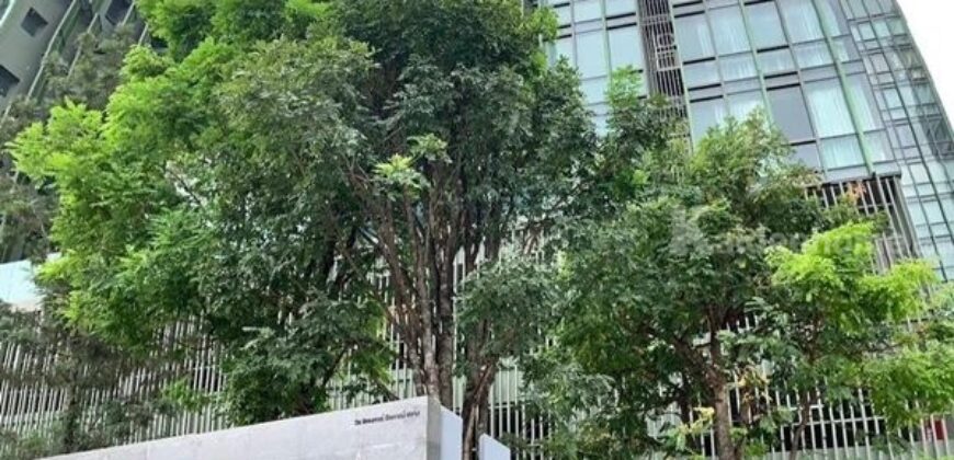 ขายคอนโดลิฟส่วนตัว Wish signature Condo 35 ตรม วิวใบหยก Lift ส่วนตัว โทร 081-733-8568