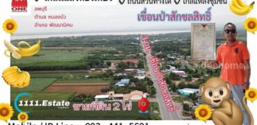 ขายที่ดินลพบุรี 2 ไร่ หน้ากว้าง 30 ม. เหมาะทำธุรกิจ หน้าเขื่อนป่าสักชลสิทธิ์ลพบุรี โทร 0985136286
