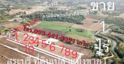 ขายที่ดินเปล่า 1ไร่ ราคาถูก ซอยวัดหนองหว้า อ.เฉลิมพระเกียรติ จ.สระบุรี โ️ทร ️098-513-6286