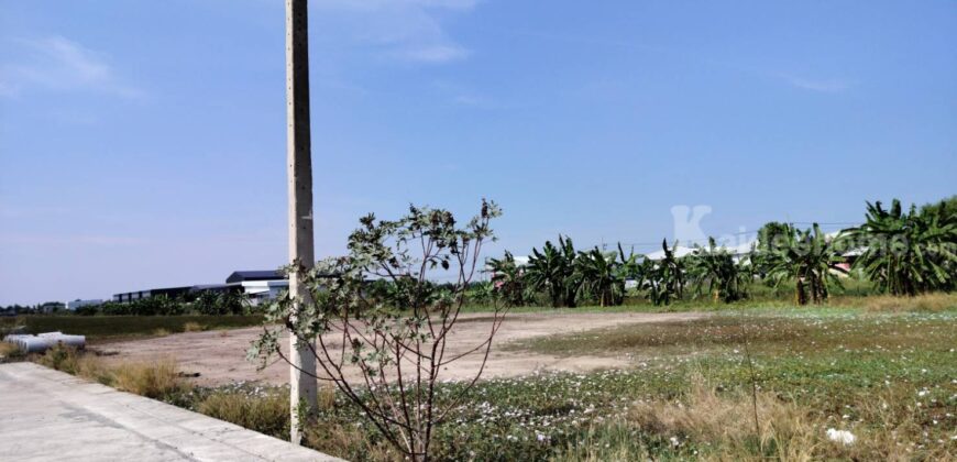 ขายที่ดินเปล่าถมแล้วมี+น้ำ+ไฟ ( ราคา15,000/ตร.วา )