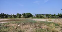 ขายที่ดินเปล่าถมแล้วมี+น้ำ+ไฟ ( ราคา15,000/ตร.วา )