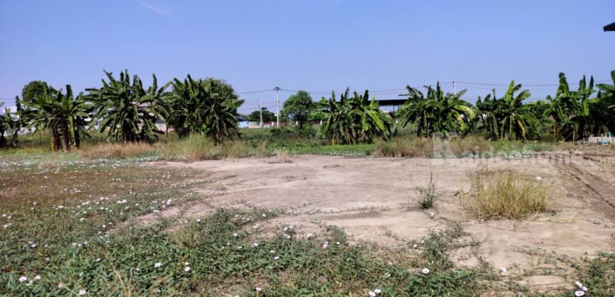 ขายที่ดินเปล่าถมแล้วมี+น้ำ+ไฟ ( ราคา15,000/ตร.วา )