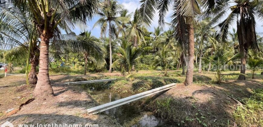ขายที่ดิน ท่าคา สมุทรสงคราม พื้นที่ 7 ไร่ 56 ตารางวา ขาย 8.9 ล้านบาท ตั้งอยู่เยื้องกับ อบต.ท่าคา ราคาถูก เหมาะลงทุน