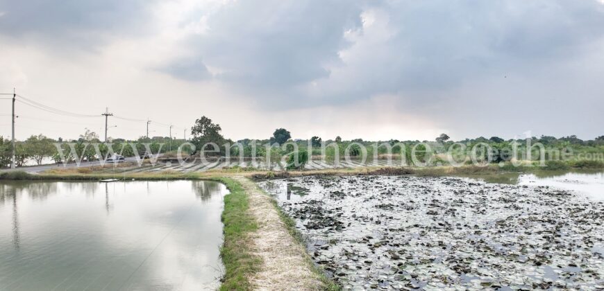 ที่ดินเปล่า 29 ไร่ 72 ตารางวา บางพลี ใกล้สุวรรณภูมิ