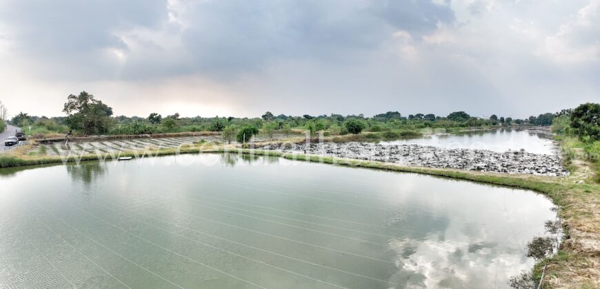 ที่ดินเปล่า 29 ไร่ 72 ตารางวา บางพลี ใกล้สุวรรณภูมิ