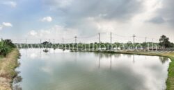 ที่ดินเปล่า 29 ไร่ 72 ตารางวา บางพลี ใกล้สุวรรณภูมิ