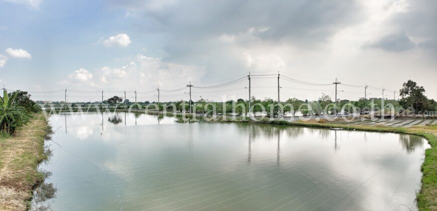 ที่ดินเปล่า 29 ไร่ 72 ตารางวา บางพลี ใกล้สุวรรณภูมิ