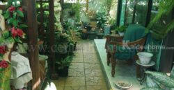 บ้านเดี่ยว พฤกษา​วิลเลจ​ ​29​ คลอง 3 ตกแต่งครบ พร้อมอยู่