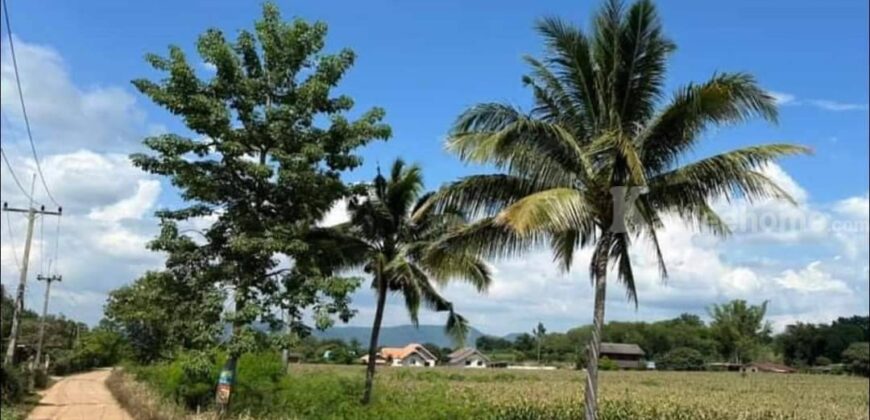 ขายถูกที่ดินวิวเขา คลองม่วง ปากช่อง 8 ไร่ ราคาร้อนด่วน 750,000/ไร่ ที่สวยวิวเขารอบ ที่สวนปลูกผักมีบ่อน้ำ เหมาะซื้อเก็บ ทำฟาร์ม บ้านสวน ใกล้เส้น 3060 หนองสาหร่าย ปากช่อง นครราชสีมา 087-9074045