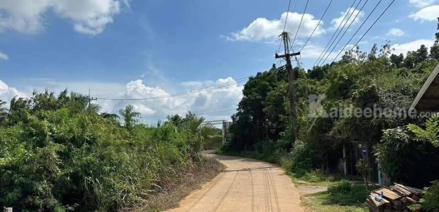 ขายถูกที่ดินวิวเขา คลองม่วง ปากช่อง 8 ไร่ ราคาร้อนด่วน 750,000/ไร่ ที่สวยวิวเขารอบ ที่สวนปลูกผักมีบ่อน้ำ เหมาะซื้อเก็บ ทำฟาร์ม บ้านสวน ใกล้เส้น 3060 หนองสาหร่าย ปากช่อง นครราชสีมา 087-9074045