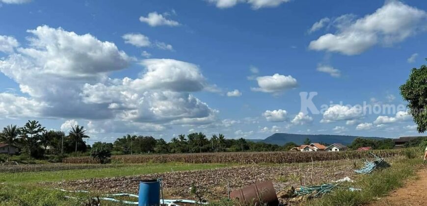 ขายถูกที่ดินวิวเขา คลองม่วง ปากช่อง 8 ไร่ ราคาร้อนด่วน 750,000/ไร่ ที่สวยวิวเขารอบ ที่สวนปลูกผักมีบ่อน้ำ เหมาะซื้อเก็บ ทำฟาร์ม บ้านสวน ใกล้เส้น 3060 หนองสาหร่าย ปากช่อง นครราชสีมา 087-9074045