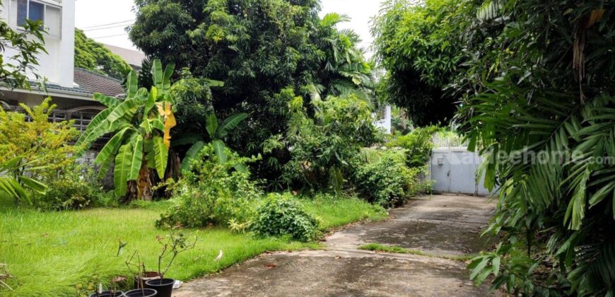 ขายที่ดินปุณณวิถี สุขุมวิท 101 ใกล้สถานีรถไฟฟ้า BTS ปุณณวิถี 800 ม. ที่ดินพร้อมบ้านเก่า 215ตร.ว ถนนกว้าง สภาพแวดล้อมดี ปากซอยมีเซเว่น ร้านอาหารของกิน เหมาะทำอพาร์ทเมนท์ สำนักงาน 087-9074045