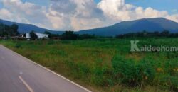 ขายที่ดินวังไทร เขาใหญ่ ปากช่อง 10 ไร่ ที่วิวเขาสวย 360 องศา ใกล้ธรรมชาติ ติดถนนลาดยาง น้ำไฟครบ ที่ดินใกล้ภูเขา เหมาะทำบ้านสวนปลูกผักยามเกษียณ นครราชสีมา 087-907-4045