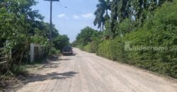 ที่ดินเขาใหญ่ ปากช่อง 13 ไร่ ขายถูก ไร่ละ 1.92 ล ใกล้ถนนธนะรัชต์ ใกล้ทางขึ้นลงมอเตอร์เวย์ M6 ที่สวนปลูกไม้หลายพันธุ์ ทำเลไข่แดง น้ำประปา ไฟฟ้าครบ ราคาร้อน เจ้าของต้องการขายด่วน 087-9074045