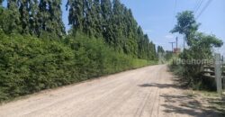 ที่ดินเขาใหญ่ ปากช่อง 13 ไร่ ขายถูก ไร่ละ 1.92 ล ใกล้ถนนธนะรัชต์ ใกล้ทางขึ้นลงมอเตอร์เวย์ M6 ที่สวนปลูกไม้หลายพันธุ์ ทำเลไข่แดง น้ำประปา ไฟฟ้าครบ ราคาร้อน เจ้าของต้องการขายด่วน 087-9074045