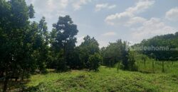 ที่ดินเขาใหญ่ ปากช่อง 13 ไร่ ขายถูก ไร่ละ 1.92 ล ใกล้ถนนธนะรัชต์ ใกล้ทางขึ้นลงมอเตอร์เวย์ M6 ที่สวนปลูกไม้หลายพันธุ์ ทำเลไข่แดง น้ำประปา ไฟฟ้าครบ ราคาร้อน เจ้าของต้องการขายด่วน 087-9074045