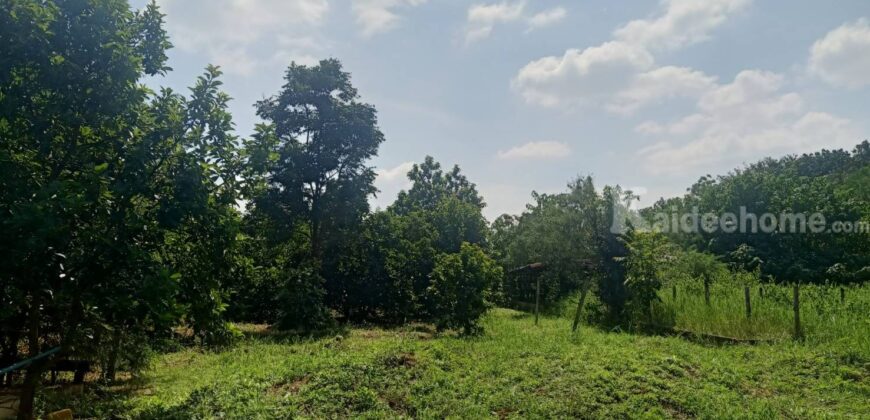 ที่ดินเขาใหญ่ ปากช่อง 13 ไร่ ขายถูก ไร่ละ 1.92 ล ใกล้ถนนธนะรัชต์ ใกล้ทางขึ้นลงมอเตอร์เวย์ M6 ที่สวนปลูกไม้หลายพันธุ์ ทำเลไข่แดง น้ำประปา ไฟฟ้าครบ ราคาร้อน เจ้าของต้องการขายด่วน 087-9074045