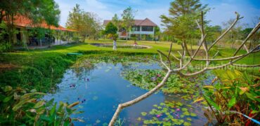 ขายที่ดินปากช่อง ขนงพระ หนองสาหร่าย 16 ไร่ ที่ดินพร้อมบ้านพักตากอากาศเขาใหญ่ สวนไม้สักทอง มีบ่อน้ำผุด มีน้ำใช้ตลอดปี ใกล้เส้น 2235 ใกล้สนามกอล์ฟแรนโชว์ชาญวีร์ ถนนมิตรภาพ คุ้มมาก 087-9074045