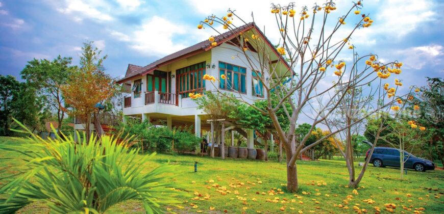 ขายที่ดินปากช่อง ขนงพระ หนองสาหร่าย 16 ไร่ ที่ดินพร้อมบ้านพักตากอากาศเขาใหญ่ สวนไม้สักทอง มีบ่อน้ำผุด มีน้ำใช้ตลอดปี ใกล้เส้น 2235 ใกล้สนามกอล์ฟแรนโชว์ชาญวีร์ ถนนมิตรภาพ คุ้มมาก 087-9074045