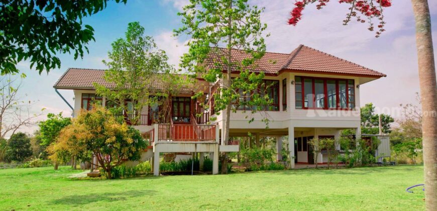 ขายที่ดินปากช่อง ขนงพระ หนองสาหร่าย 16 ไร่ ที่ดินพร้อมบ้านพักตากอากาศเขาใหญ่ สวนไม้สักทอง มีบ่อน้ำผุด มีน้ำใช้ตลอดปี ใกล้เส้น 2235 ใกล้สนามกอล์ฟแรนโชว์ชาญวีร์ ถนนมิตรภาพ คุ้มมาก 087-9074045