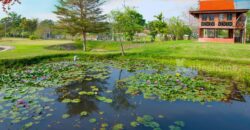 ขายที่ดินปากช่อง ขนงพระ หนองสาหร่าย 16 ไร่ ที่ดินพร้อมบ้านพักตากอากาศเขาใหญ่ สวนไม้สักทอง มีบ่อน้ำผุด มีน้ำใช้ตลอดปี ใกล้เส้น 2235 ใกล้สนามกอล์ฟแรนโชว์ชาญวีร์ ถนนมิตรภาพ คุ้มมาก 087-9074045