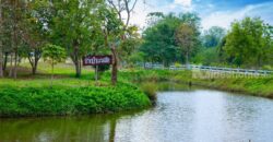 ขายที่ดินปากช่อง ขนงพระ หนองสาหร่าย 16 ไร่ ที่ดินพร้อมบ้านพักตากอากาศเขาใหญ่ สวนไม้สักทอง มีบ่อน้ำผุด มีน้ำใช้ตลอดปี ใกล้เส้น 2235 ใกล้สนามกอล์ฟแรนโชว์ชาญวีร์ ถนนมิตรภาพ คุ้มมาก 087-9074045