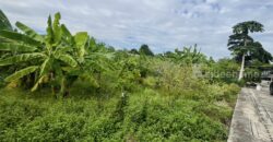 ขายที่ดินผืนใหญ่ 8 ไร่ ใกล้เลียบทางด่วนเอกมัย-รามอินทรา โยธินพัฒนา 3 (ประดิษมนูธรรม) นวมินทร์ 111