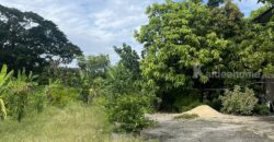 ขายที่ดินผืนใหญ่ 8 ไร่ ใกล้เลียบทางด่วนเอกมัย-รามอินทรา โยธินพัฒนา 3 (ประดิษมนูธรรม) นวมินทร์ 111