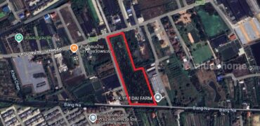 ขายที่ดินผืนใหญ่นนทบุรี ติดถนนกว้างเกิน 10 เมตร ซอยวัดพระเงิน (บางม่วง-บางคูลัด) อ.บางกรวย(บางใหญ่) นนทบุรี