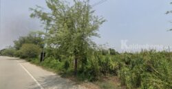 ขายที่ดินผืนใหญ่นนทบุรี ติดถนนกว้างเกิน 10 เมตร ซอยวัดพระเงิน (บางม่วง-บางคูลัด) อ.บางกรวย(บางใหญ่) นนทบุรี