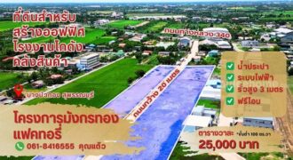 ขายที่ดินแปลงสวย ทำเลทอง โครงการมังกรทอง โซนบางบัวทอง – นนทบุรี Tel. 0618416555