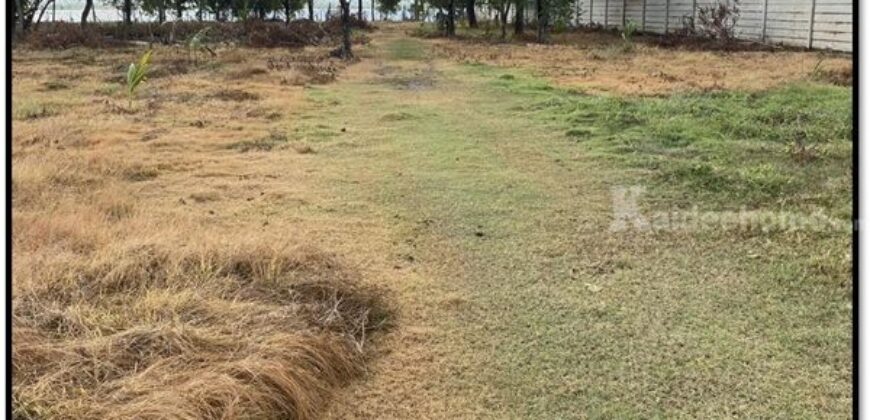 ขายที่ดิน ติดทะเล เกาะยอ อ.เมืองสงขลา 3-2-67.8 ไร่ อยู่ในย่านชุมชน ใกล้วัดท้ายยอ โทร 0632897879