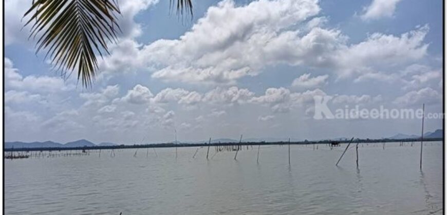 ขายที่ดิน ติดทะเล เกาะยอ อ.เมืองสงขลา 3-2-67.8 ไร่ อยู่ในย่านชุมชน ใกล้วัดท้ายยอ โทร 0632897879