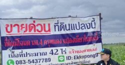 ด่วน ขายที่ดินแม่สอด-ห้วยกระโหลก จำนวน 42 ไร่ (ที่ดินมีโฉนด นส.4 ครุฑแดงแปลงเดียวในย่านนี้)