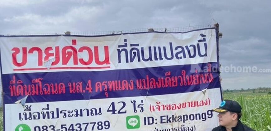 ด่วน ขายที่ดินแม่สอด-ห้วยกระโหลก จำนวน 42 ไร่ (ที่ดินมีโฉนด นส.4 ครุฑแดงแปลงเดียวในย่านนี้)