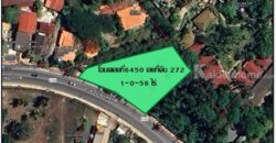 ขายที่ดินใกล้ทะเล ติด Zazen เกาะสมุย 1ไร่ 56ตร.ว. ตำบลบ่อผุด ติดถนน ใกล้สนามบินนานาชาติ เกาะสมุย โทร 0632897879